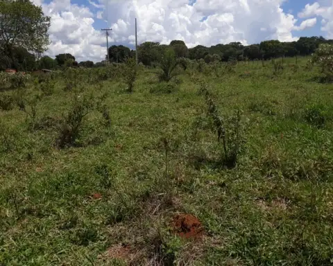 SÍTIO COM BOA LOCALIZAÇÃO, REGIÃO DE MALHADOURO PATROCÍNIO-MG