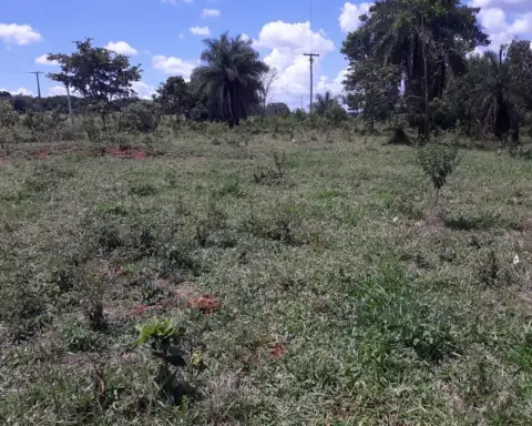 SÍTIO COM BOA LOCALIZAÇÃO, REGIÃO DE MALHADOURO PATROCÍNIO-MG