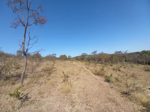 SITIO PARA PLANTIO OU PASTO ENTRE PATROCÍNIO E COROMANDEL