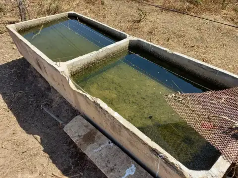FAZENDA PARA GADO E CEREAIS EM COROMANDEL
