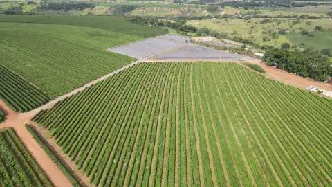 EXCELENTE FAZENDA CAFEEIRA EM CRUZEIRO DA FORTALEZA-MG