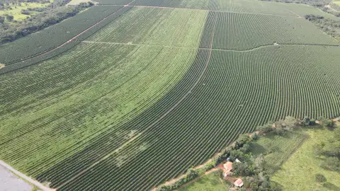 EXCELENTE FAZENDA CAFEEIRA EM CRUZEIRO DA FORTALEZA-MG