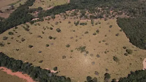 FAZENDA DUPLA APTIDÃO