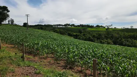 BELA CHÁCARA À VENDA EM SILVANO, MUNICÍPIO DE PATROCÍNIO - MG.