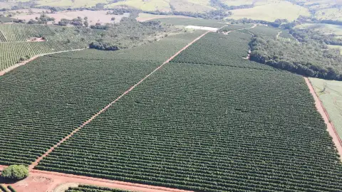 FAZENDA CAFEEIRA, COROMANDEL