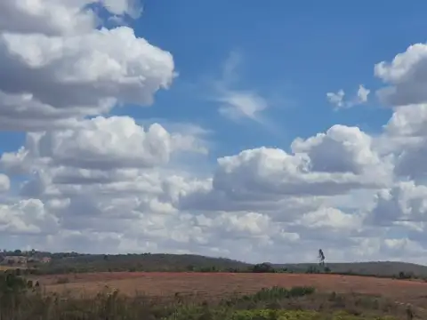 FAZENDA PARA GADO E PLANTIO ENTRE COROMANDEL E PATROCINIO