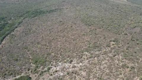 EXCELENTE FAZENDA AGRICULTÁVEL EM PRESIDENTE OLEGÁRIO/MG