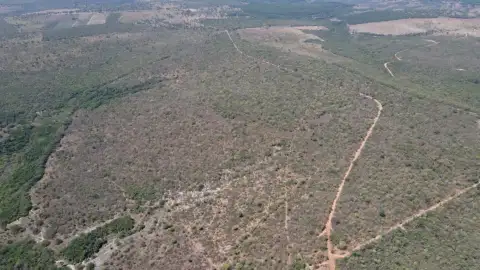 EXCELENTE FAZENDA AGRICULTÁVEL EM PRESIDENTE OLEGÁRIO/MG