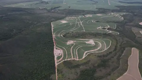 FAZENDA CANAVIEIRA EM VEREDAS, MUNICÍPIO DE JOÃO PINHEIRO