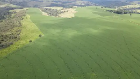 FAZENDA EM PANTANO, PATOS DE MINAS