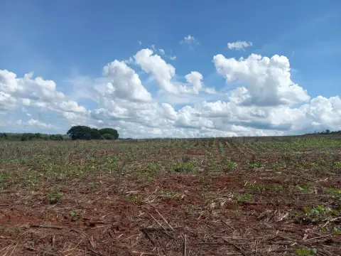FAZENDA DE DUPLA APTIDÃO - SERRA DO SALITRE/MG