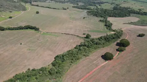 FAZENDA DE DUPLA APTIDÃO - SERRA DO SALITRE/MG
