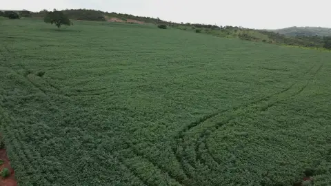 FAZENDA EM LAVOURA BRANCA NA ZONA RURAL DE COROMANDEL/MG