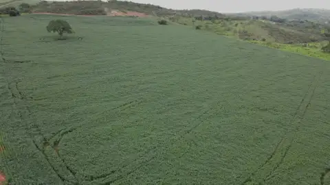 FAZENDA EM LAVOURA BRANCA NA ZONA RURAL DE COROMANDEL/MG