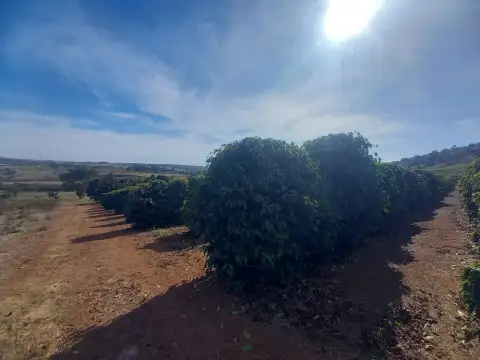 FAZENDA PARA PLANTIO DE CAFÉ EM PATROCÍNIO/MG