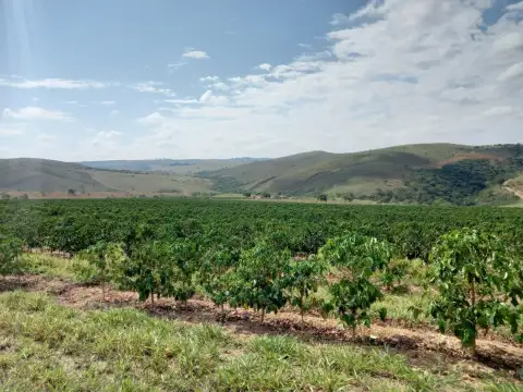 FAZENDA PRÓXIMA À RODOVIA ENTRE RIO PARANAÍBA E SERRA DO SALITRE