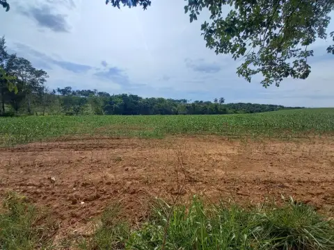 FAZENDA PARA PLANTIO NA REGIÃO DE SILVANO, EM PATROCÍNIO/MG.
