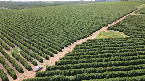 FAZENDA PRODUTORA DE CAFÉ À VENDA EM PATROCÍNIO/MG
