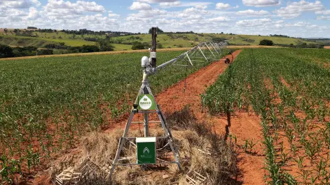 FAZENDA COM PIVÔ PARA HF E CEREAIS