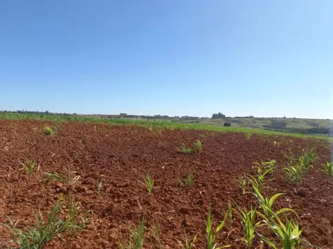 FAZENDA COM PIVÔ PARA HF E CEREAIS