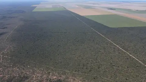 EXCELENTE FAZENDA EM CHAPADA GAÚCHA