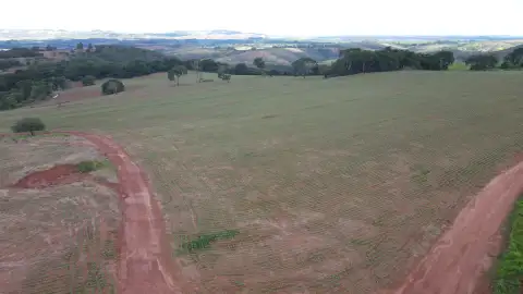 FAZENDA EM PANTANO, PATOS DE MINAS