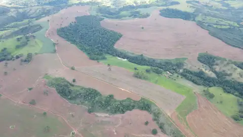 FAZENDA EM PANTANO, PATOS DE MINAS