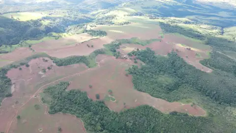 FAZENDA EM PANTANO, PATOS DE MINAS