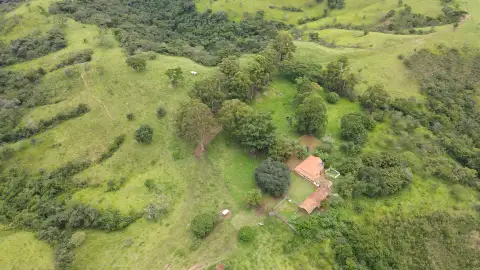 EXCELENTE FAZENDA PARA GADO NA REGIÃO DO PANTANO