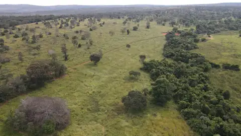 EXCELENTE FAZENDA DE DUPLA APTIDÃO - TRÊS MARIAS/MG
