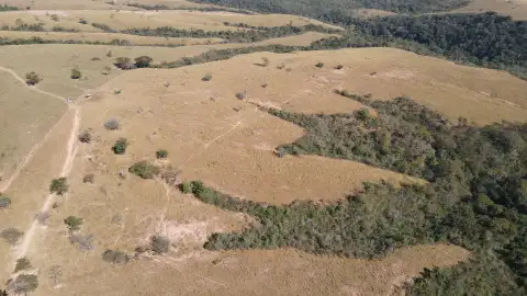 FAZENDA EM PANTANO, PATOS DE MINAS