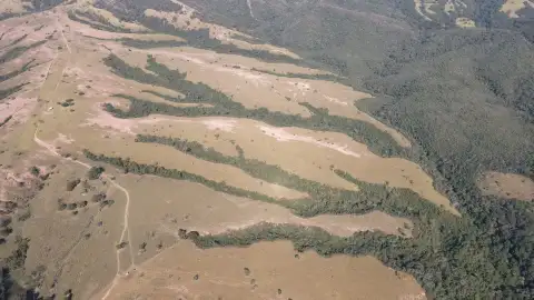 FAZENDA EM PANTANO, PATOS DE MINAS