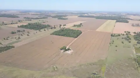 FAZENDA PARA PLANTIO NO ESTADO DE RONDONIA