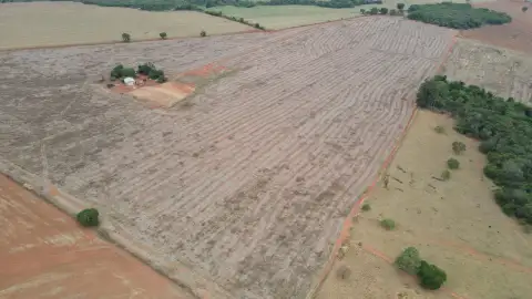 FAZENDA PRÓPRIA PARA CAFÉ EM COROMANDEL