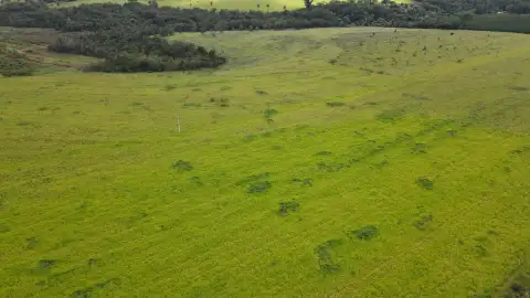 FAZENDA EM MOREIRAS, PATROCÍNIO