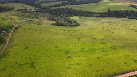 FAZENDA EM MOREIRAS, PATROCÍNIO
