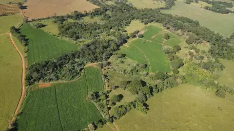 FAZENDA EM SÃO BENEDITO, PATROCÍNIO