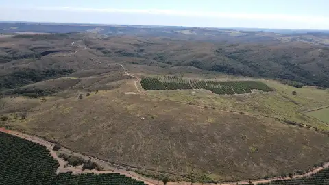 FAZENDA DUPLA APTIDÃO NA REGIÃO DE BOA VISTA