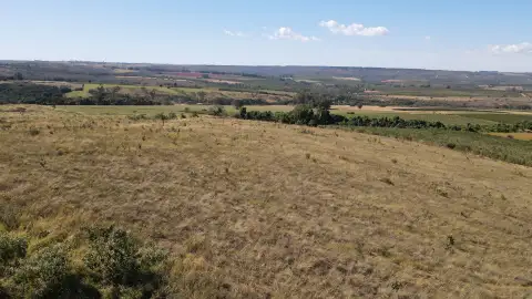 FAZENDA DUPLA APTIDÃO NA REGIÃO DE BOA VISTA