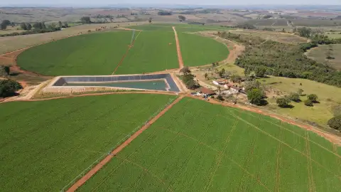 FAZENDA EM PERDIZES