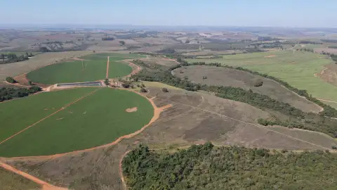 FAZENDA EM PERDIZES