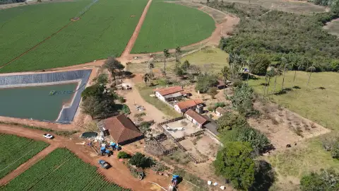 FAZENDA EM PERDIZES