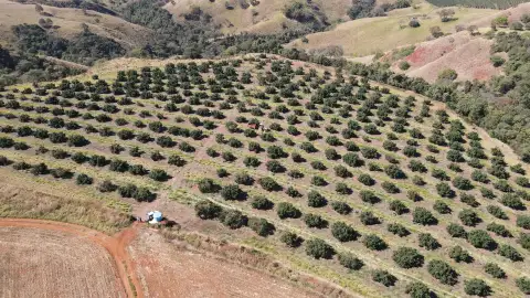 SÍTIO NO CHAPADÃO DE FERRO