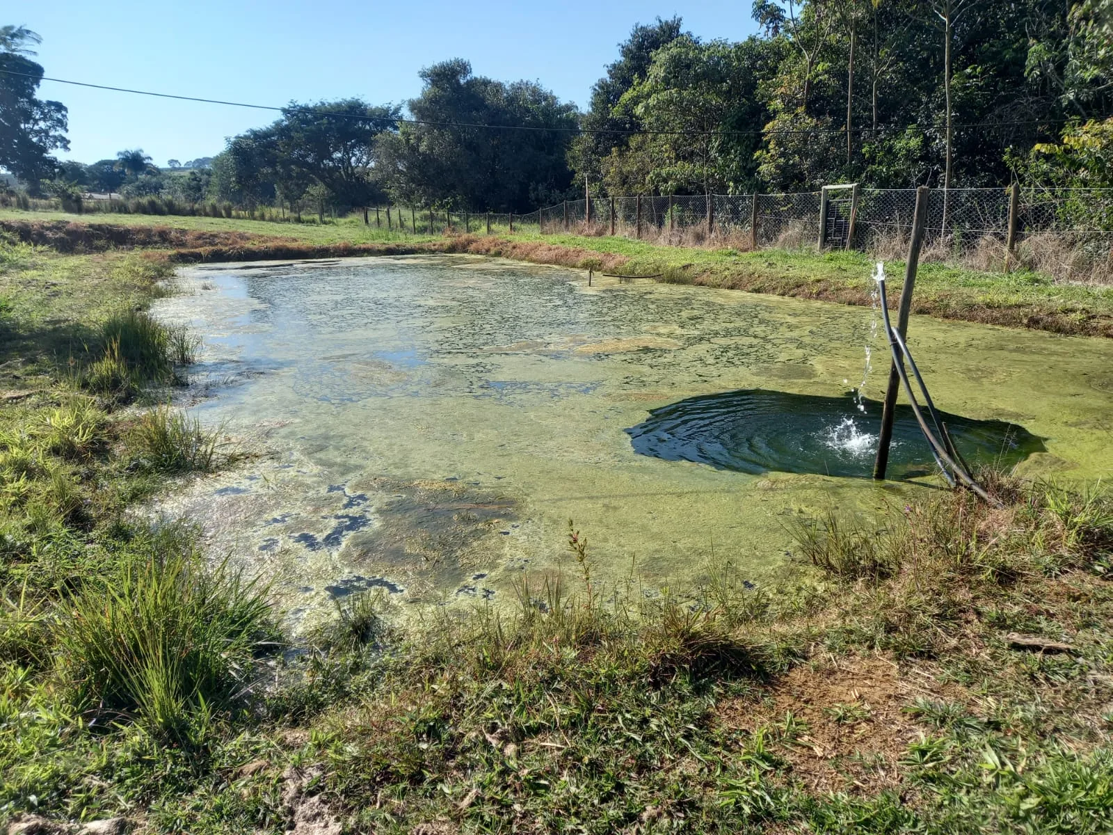 SITIO EM TEJUCO, PATROCÍNIO