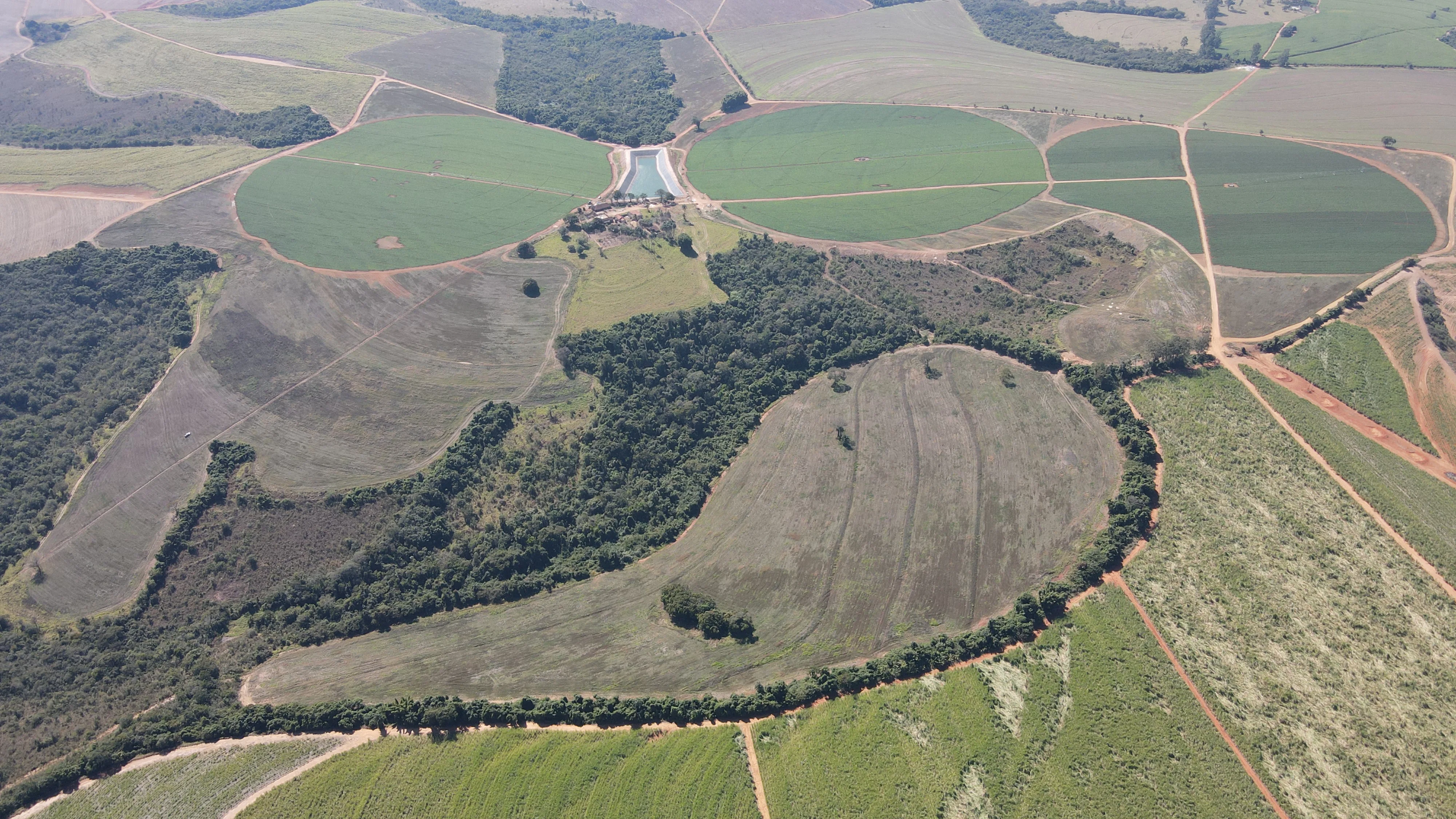 FAZENDA EM PERDIZES