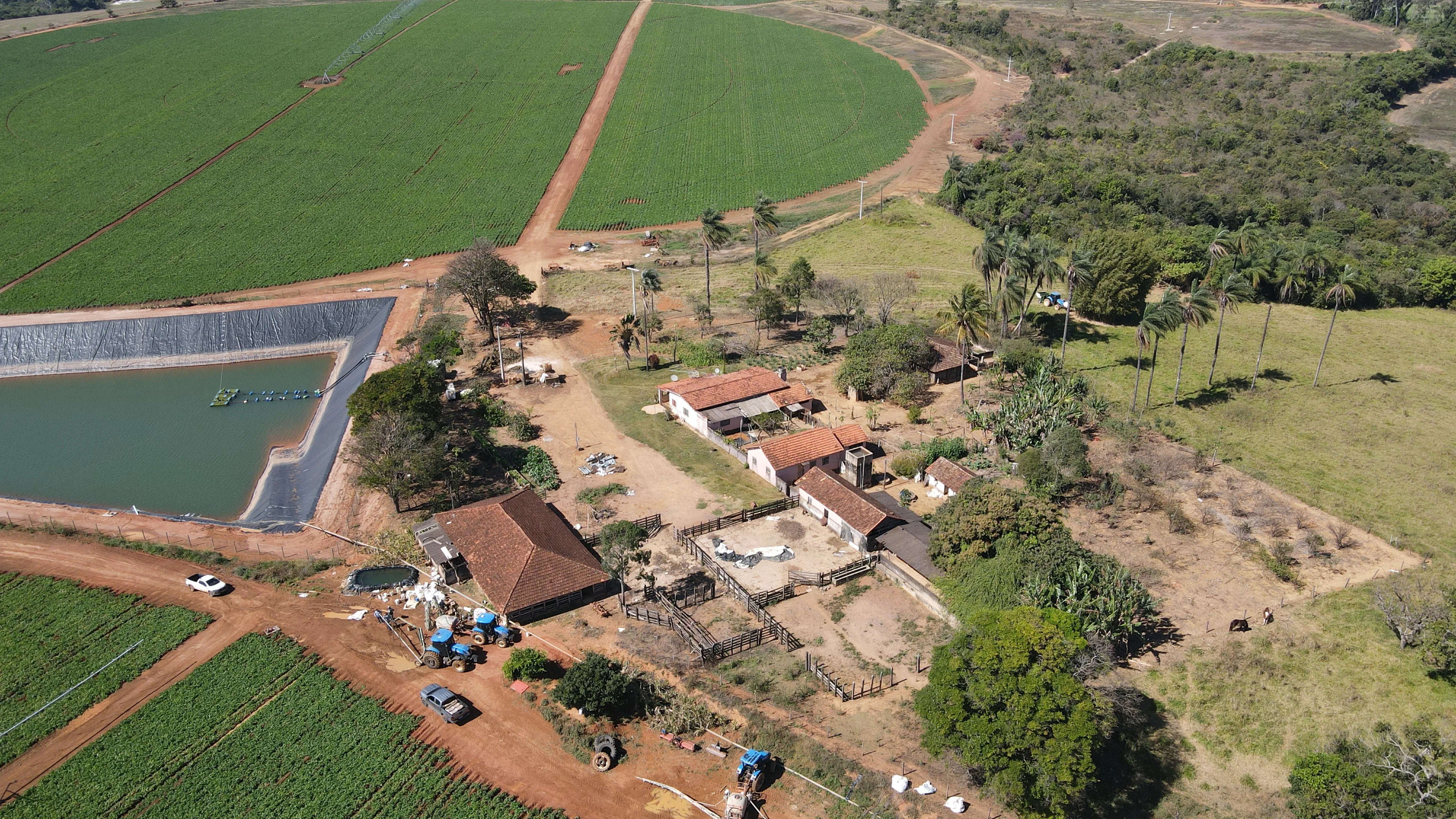 FAZENDA EM PERDIZES