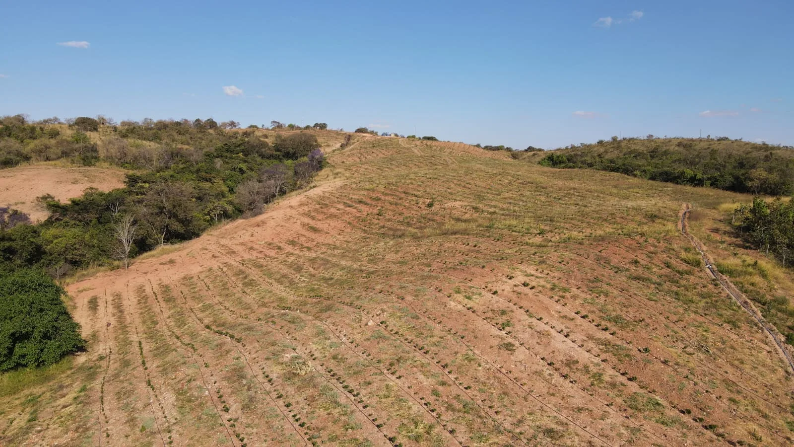 FAZENDA SANTA ROSA DOS DOURADOS COROMANDEL- MG
