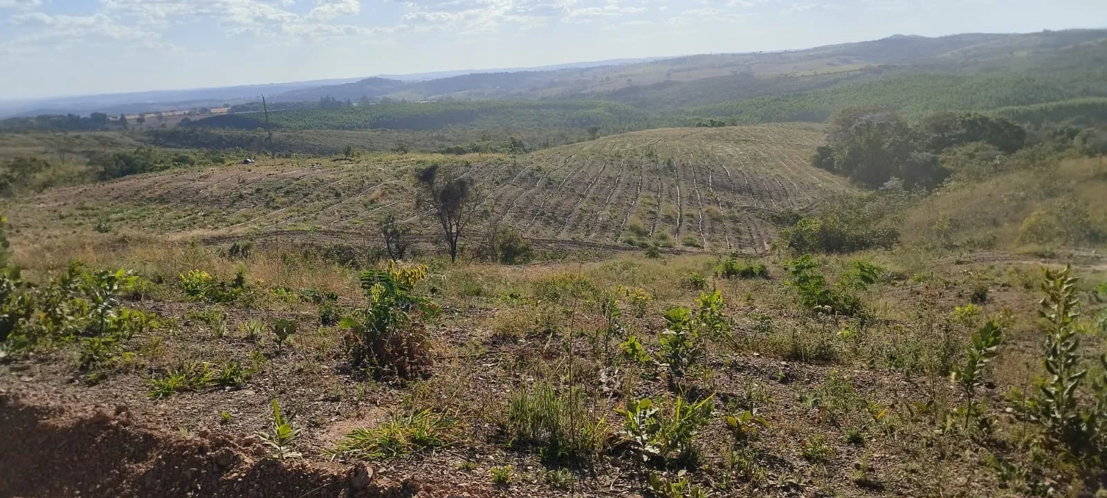 FAZENDA SANTA ROSA DOS DOURADOS COROMANDEL- MG
