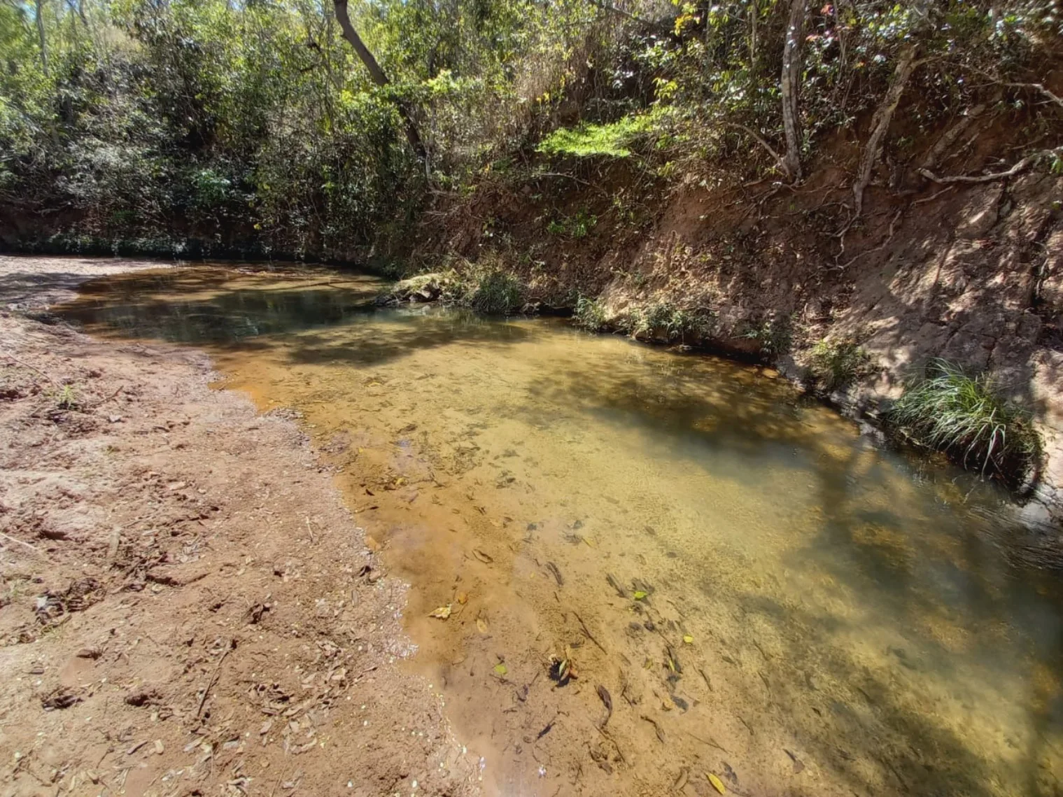 EXCELENTE FAZENDA AGRICULTÁVEL EM PRESIDENTE OLEGÁRIO/MG