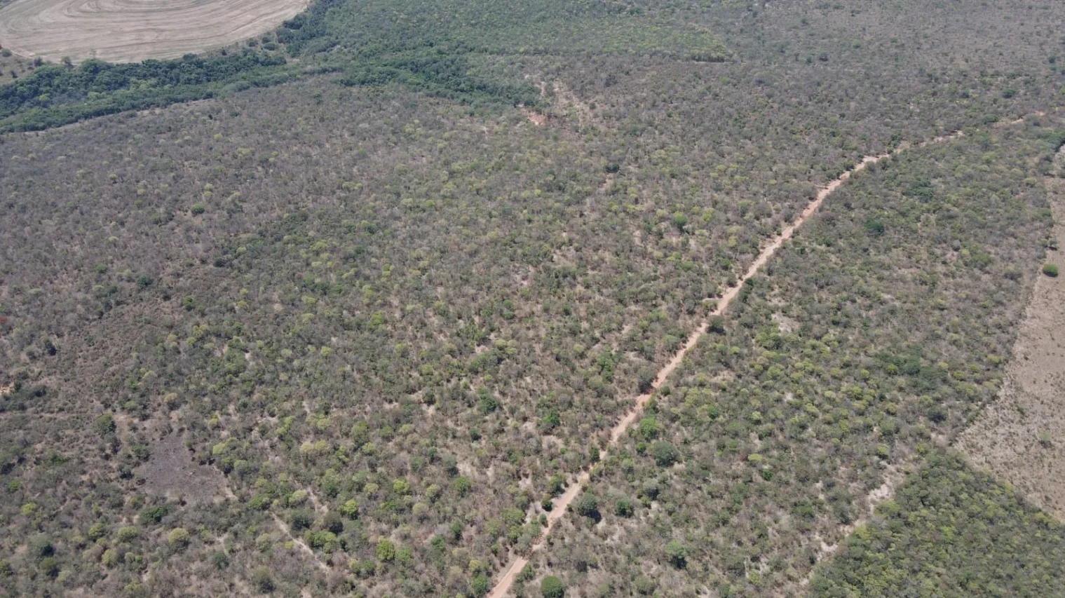 EXCELENTE FAZENDA AGRICULTÁVEL EM PRESIDENTE OLEGÁRIO/MG
